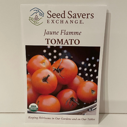 Jaune Flamme Tomato, Organic